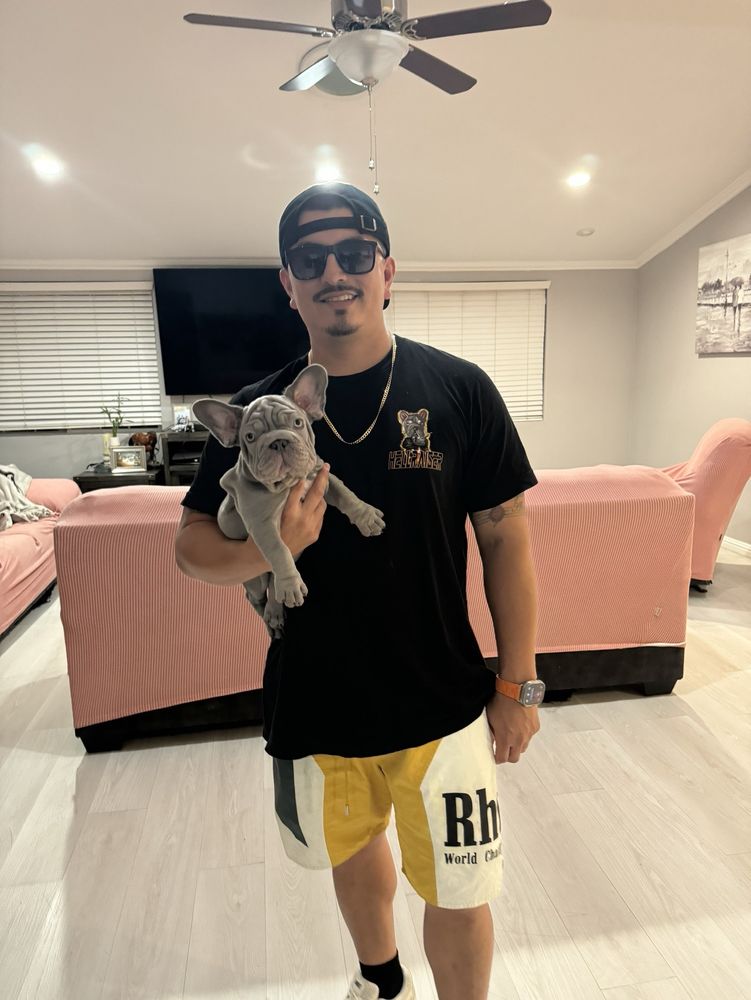 Rony O.'s profile image