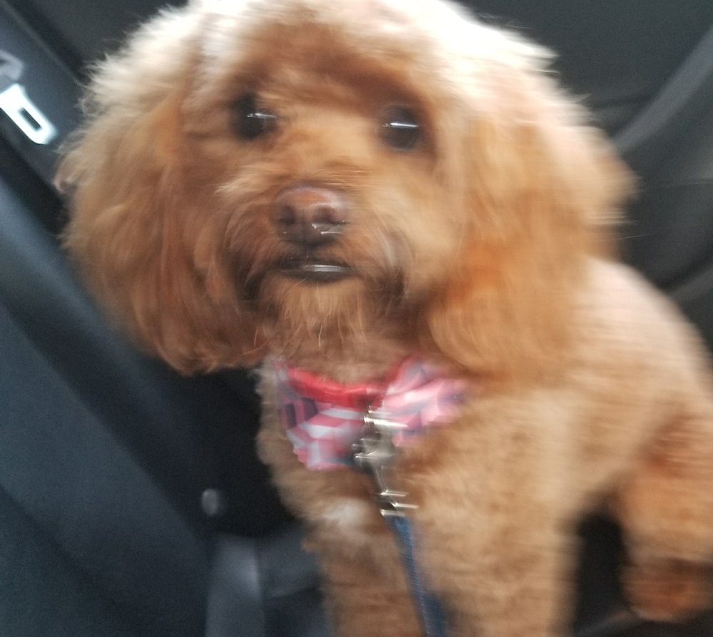 Maureen H.'s profile image