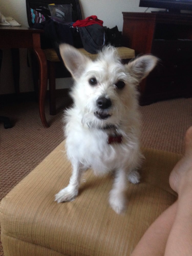 Michelle G.'s profile image