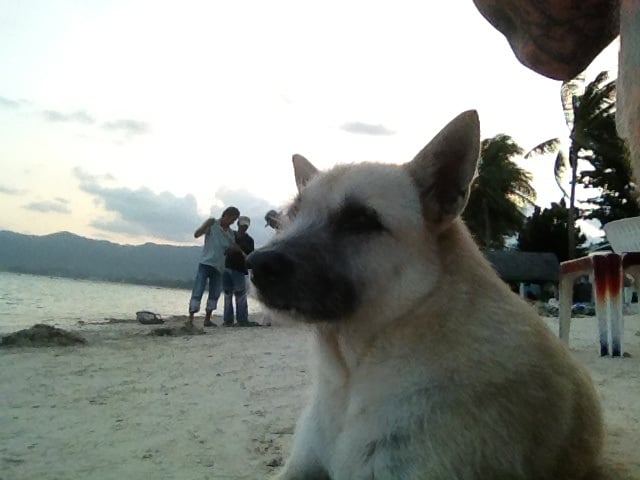 Big W.'s profile image