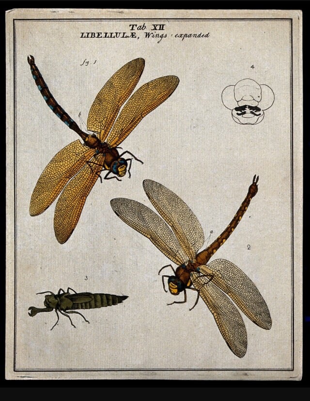 E R.'s profile image