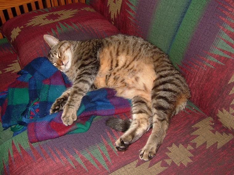 b d.'s profile image