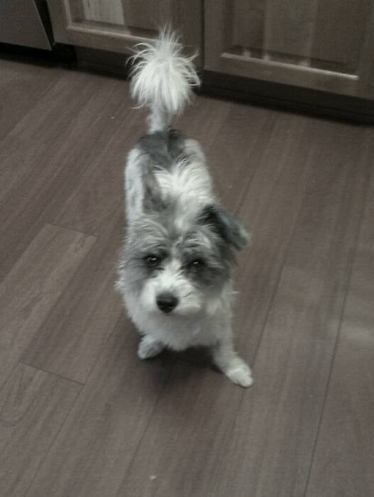 Barb A.'s profile image