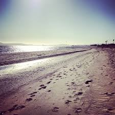 Linda K.'s profile image