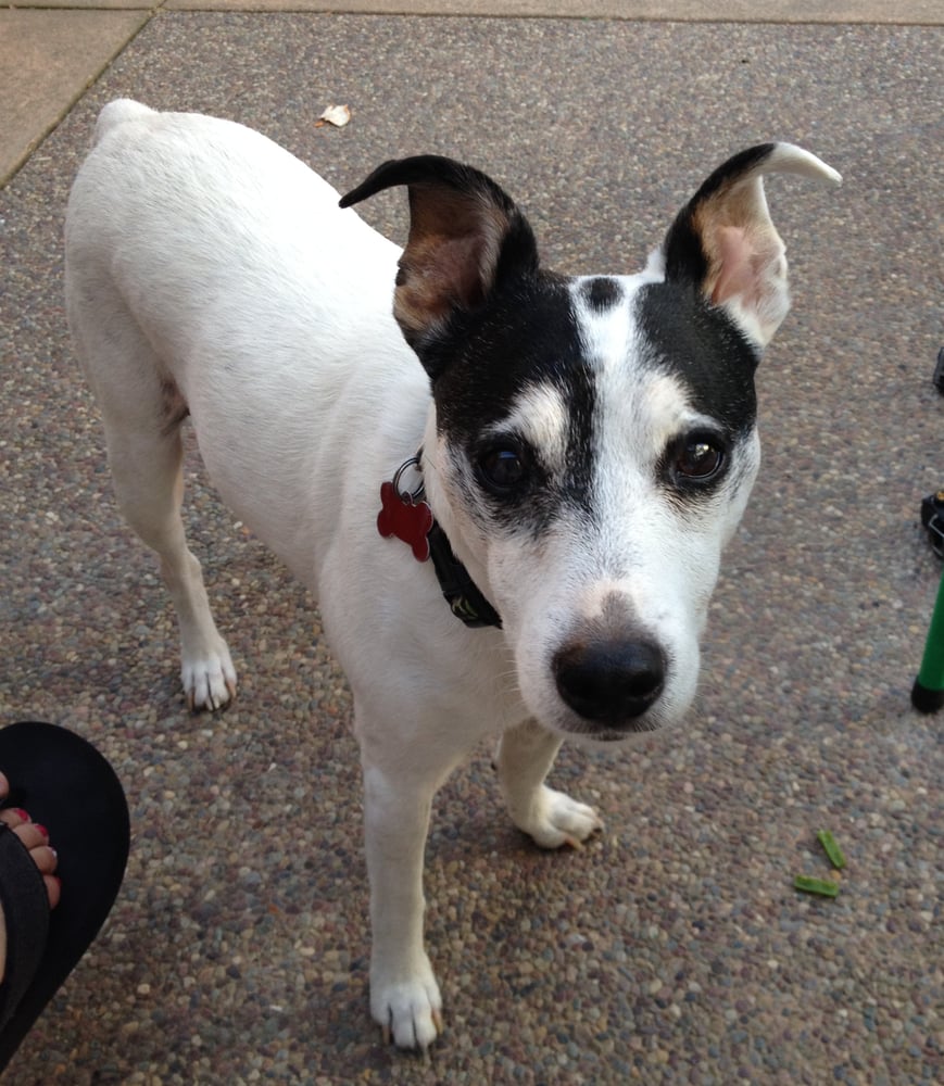 Amanda S.'s profile image