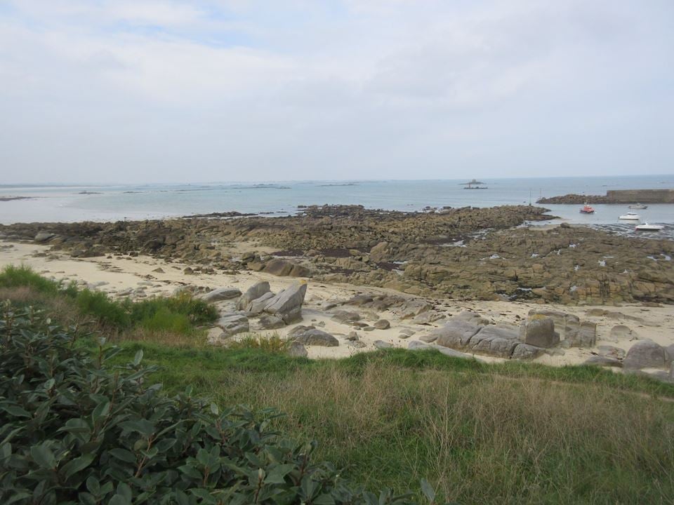 Elise R.'s profile image