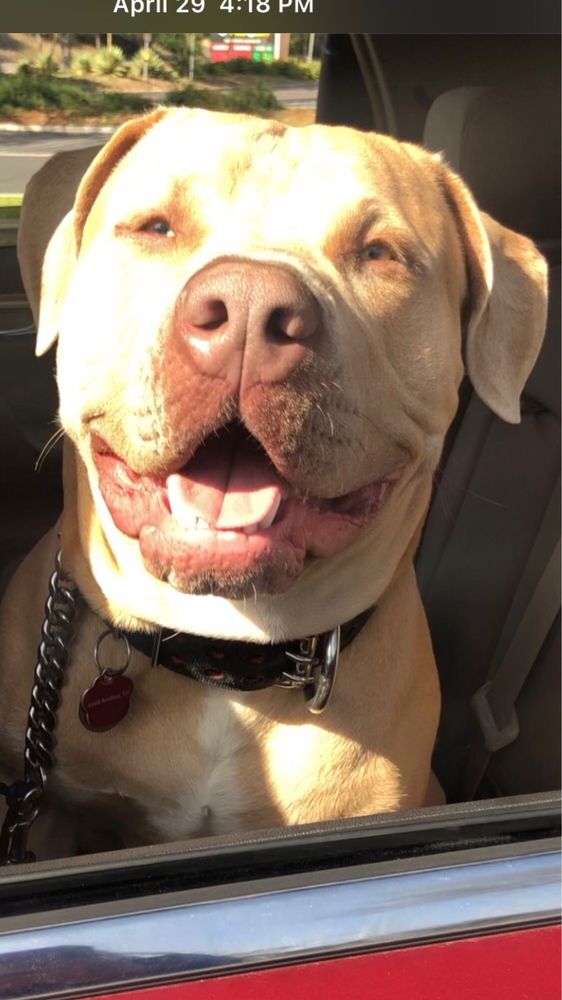 Zsaza H.'s profile image