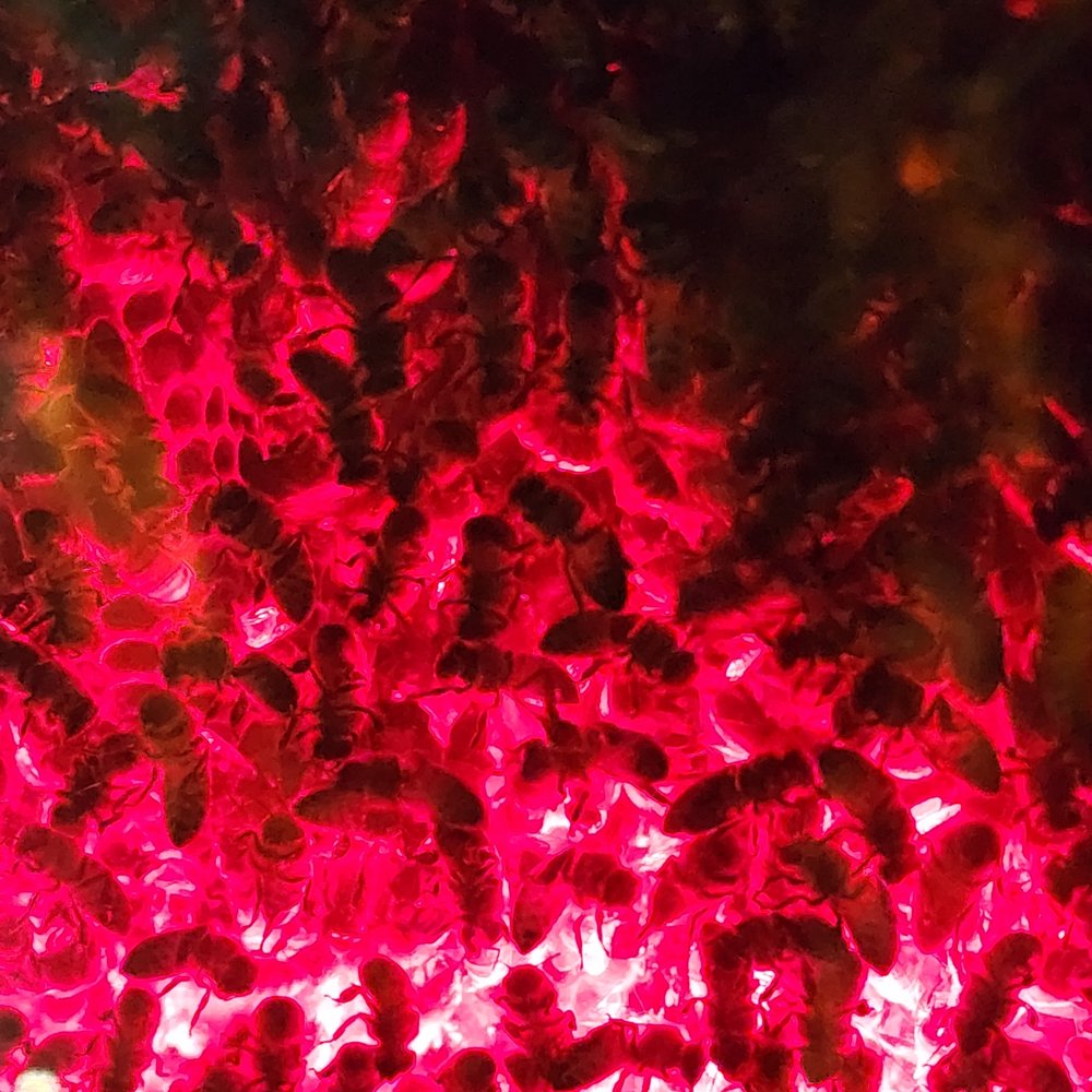 Elizabeth P.'s profile image