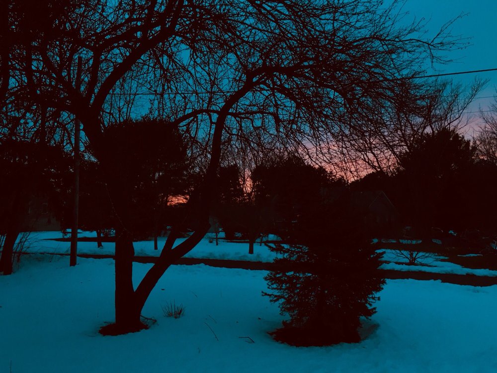 Sarah D.'s profile image