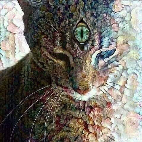 Tanya B.'s profile image