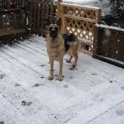 Monique A.'s profile image