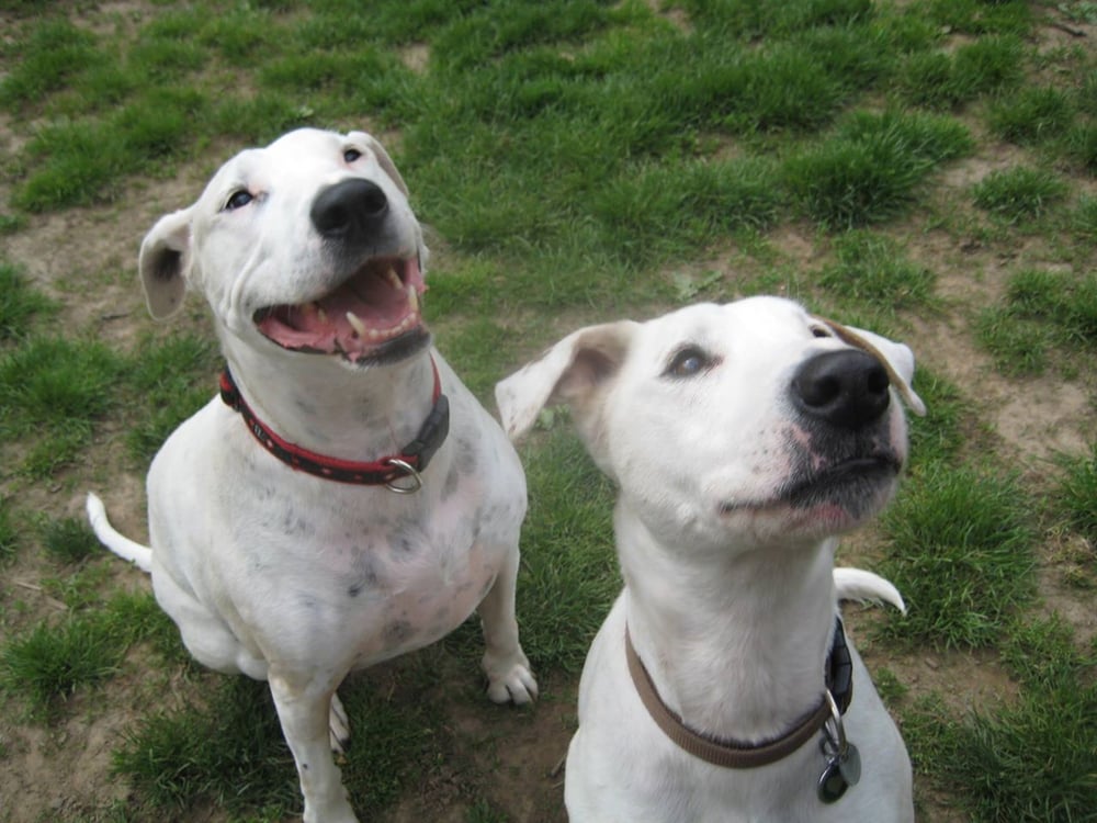 Sue L.'s profile image