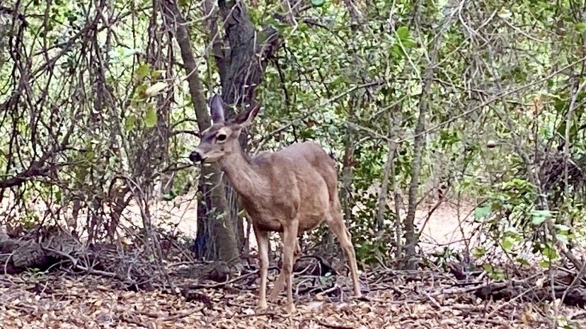 Jennifer G.'s profile image