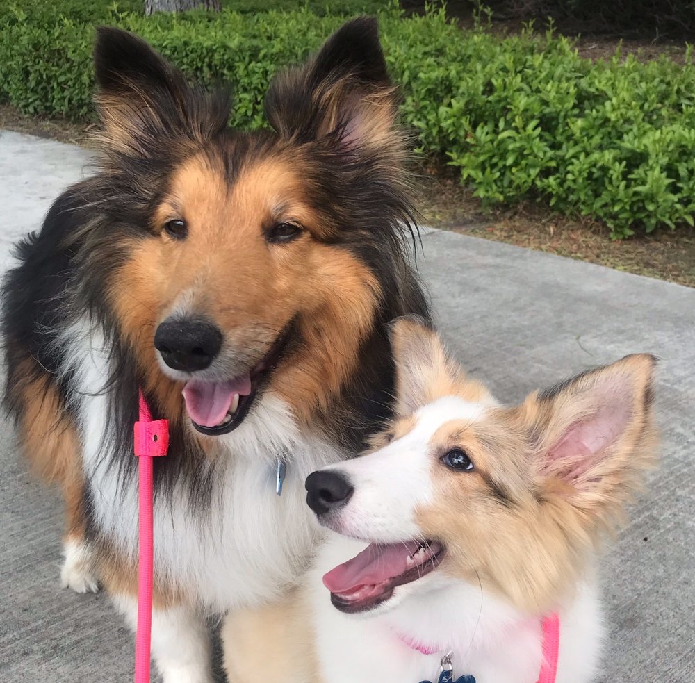 Corene L.'s profile image