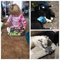 Kathryn J.'s profile image