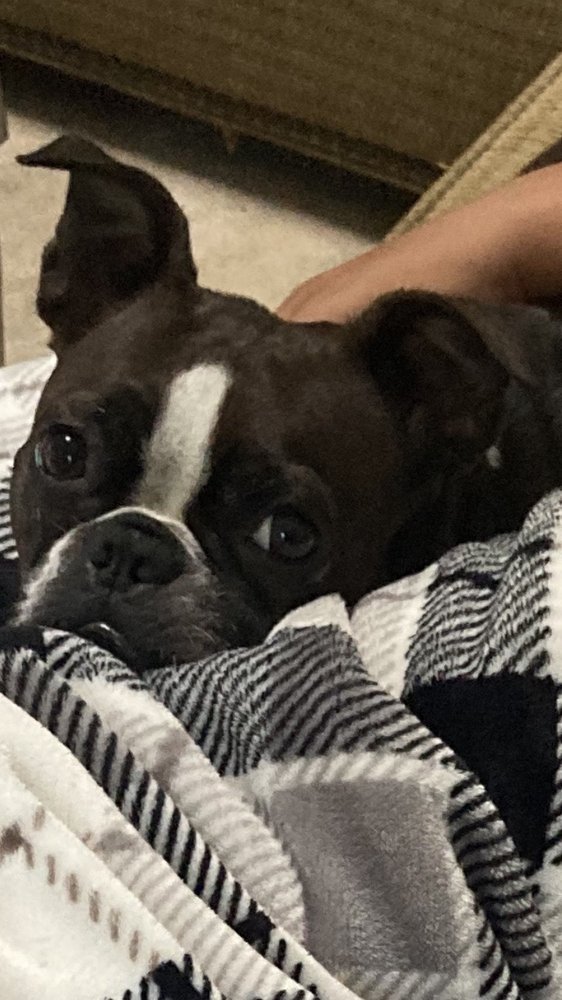 Michelle R.'s profile image