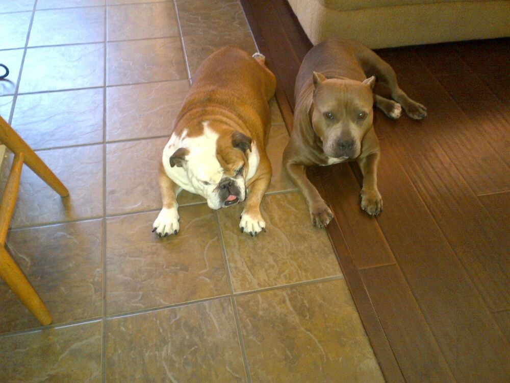 Jalene V.'s profile image