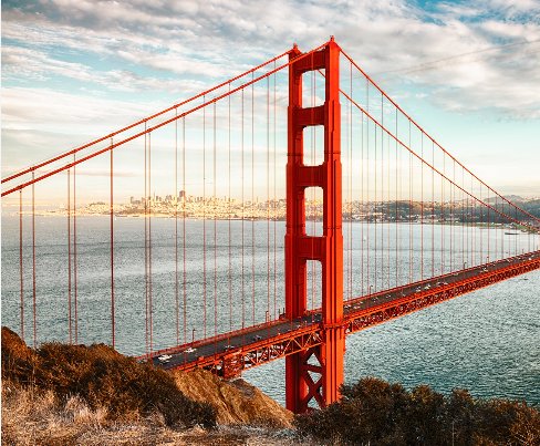 Kelly K.'s profile image