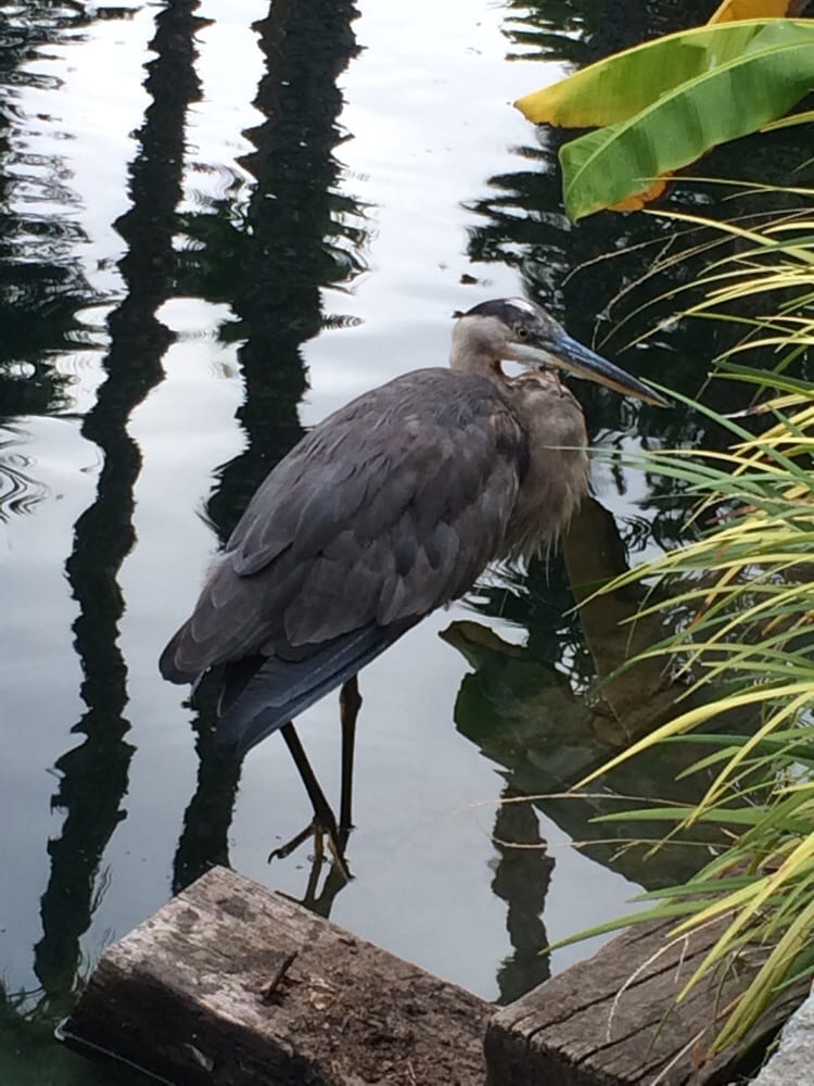 Lute P.'s profile image