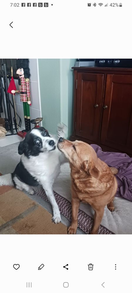 David S.'s profile image