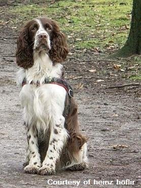 Robin M.'s profile image