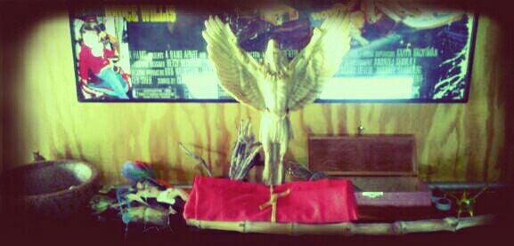 Nick S.'s profile image