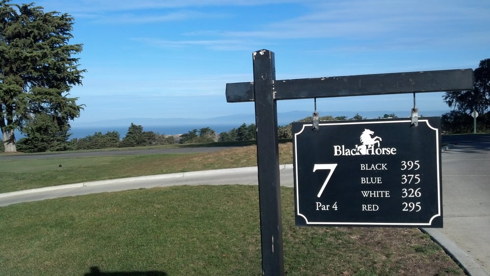 Rocky B.'s profile image