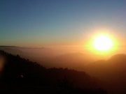 Sonia O.'s profile image