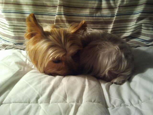 Sara K.'s profile image