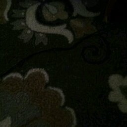 Thomas F.'s profile image