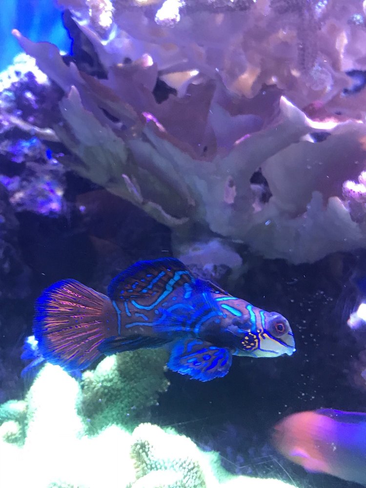 Kristen P.'s profile image