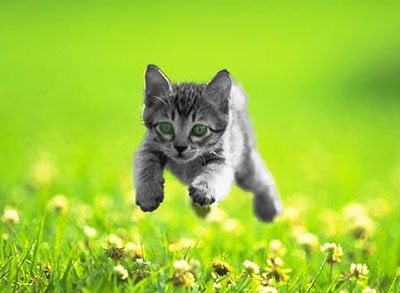 Bethany F.'s profile image