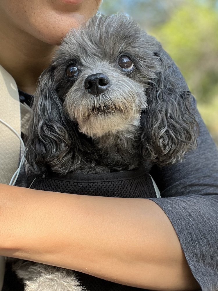 Staci F.'s profile image