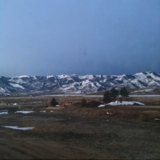 Mit M.'s profile image