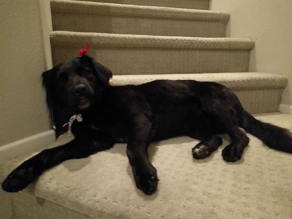 Rita D.'s profile image