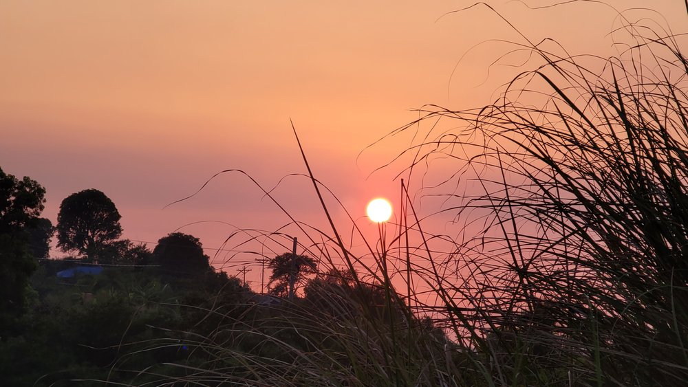 Sandy M.'s profile image