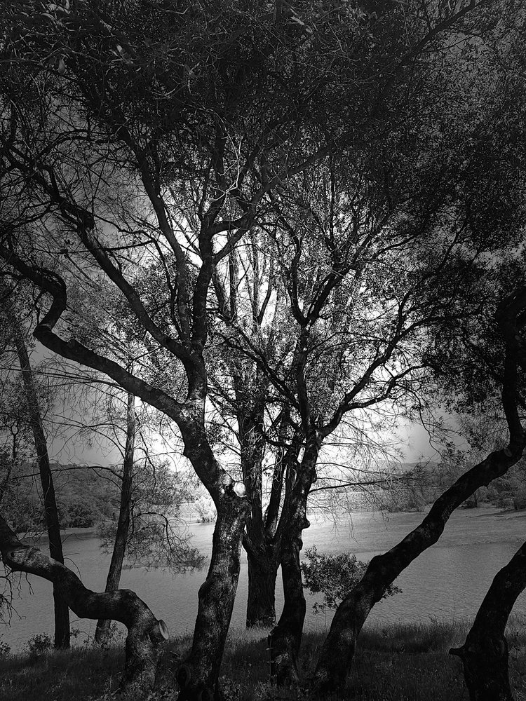 Shawny H.'s profile image