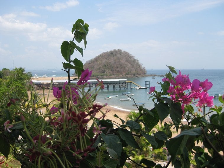 Mere A.'s profile image