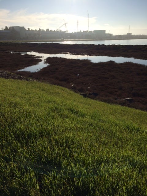 LJ A.'s profile image