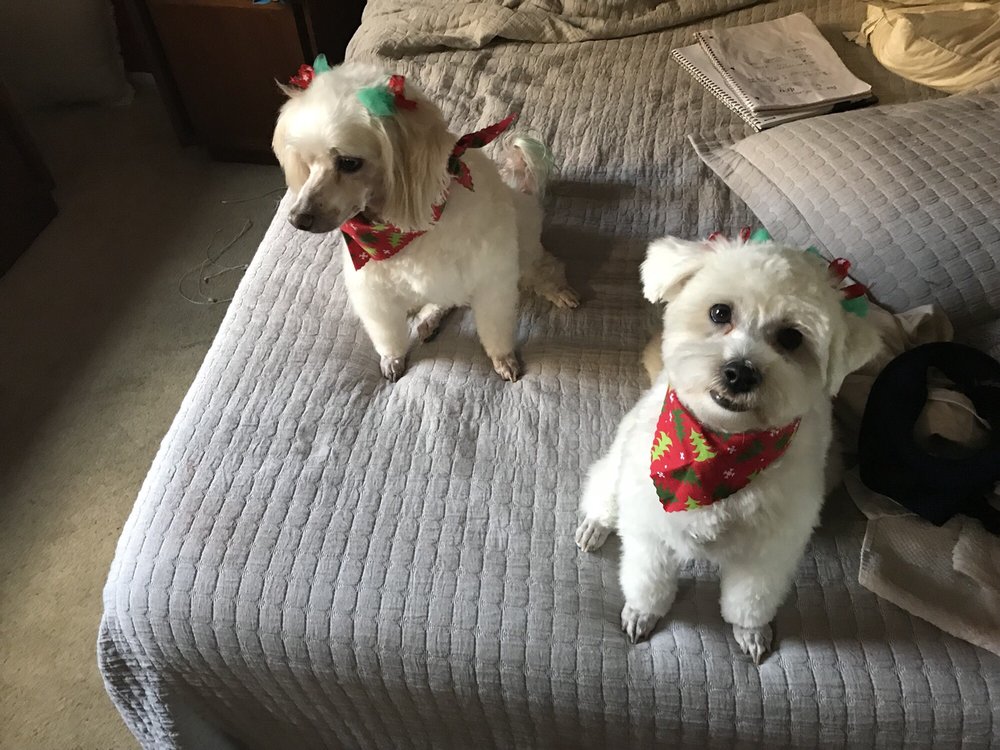 scott F.'s profile image