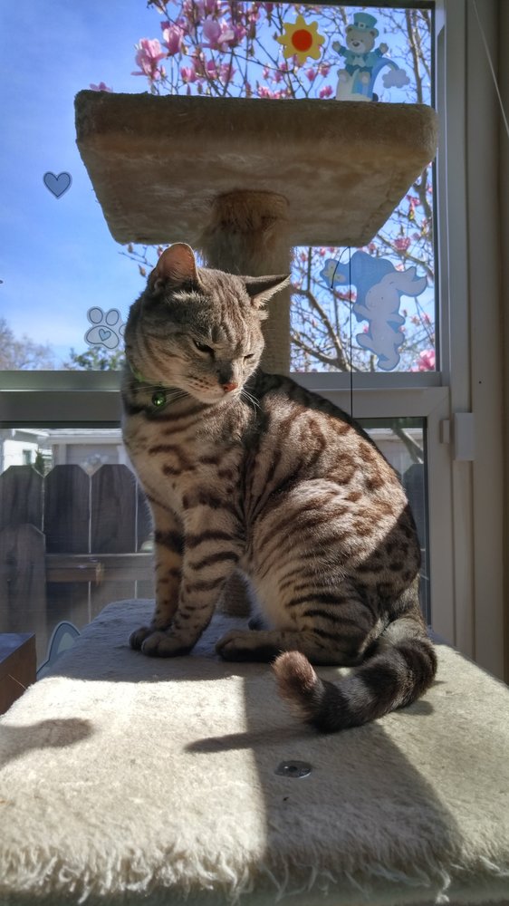 Ny K.'s profile image