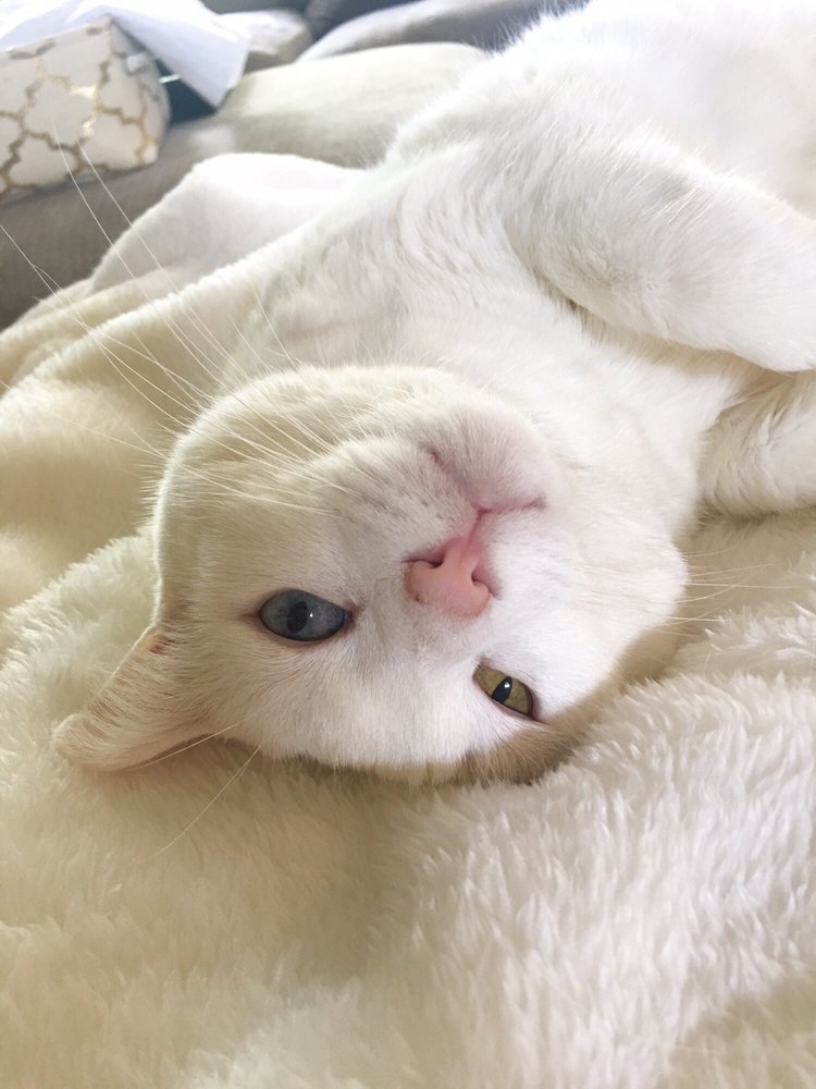 Jen M.'s profile image