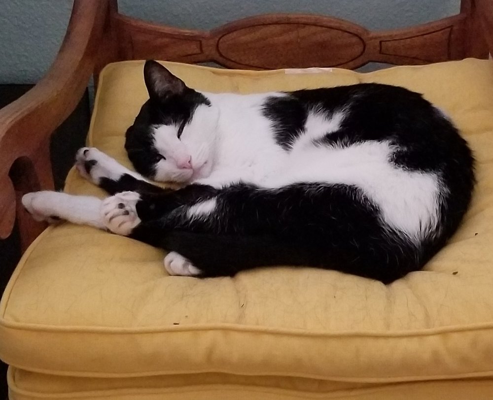 Emily W.'s profile image