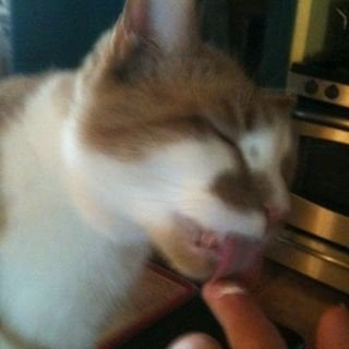 Bill C.'s profile image