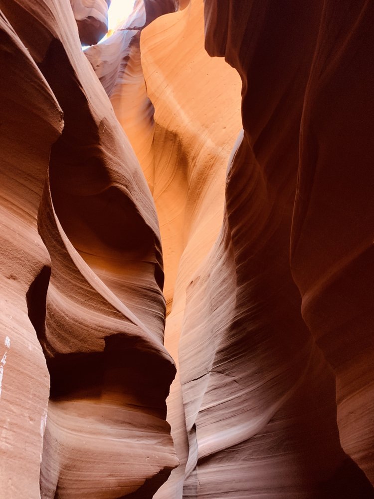 David B.'s profile image