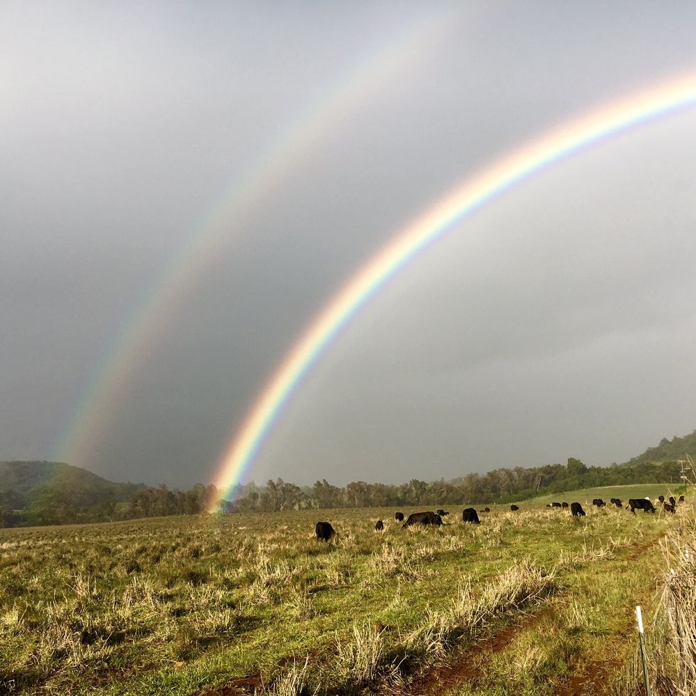 R P.'s profile image