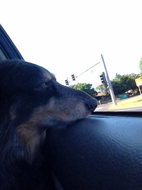 Matt B.'s profile image