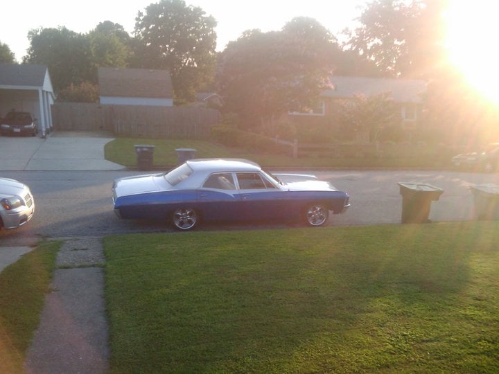 Tiffany D.'s profile image