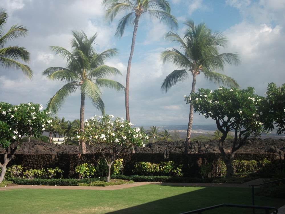 LaVonda W.'s profile image