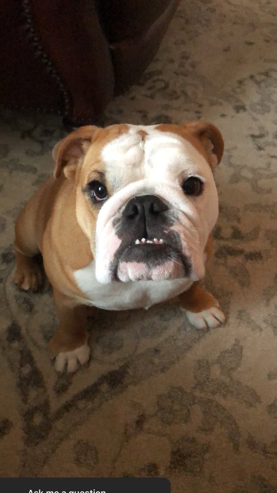 Lisa M.'s profile image